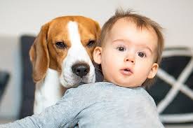 don't put a human child down like a dog