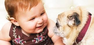 don't put a human child down like a dog