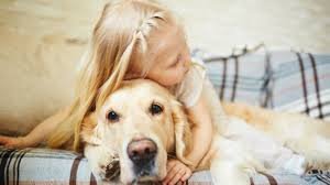 don't put a human child down like a dog