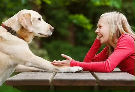 don't put a human child down like a dog