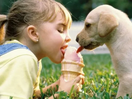 don't put a human child down like a dog