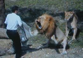 Exploring Bible Predictions of Animal Attacks